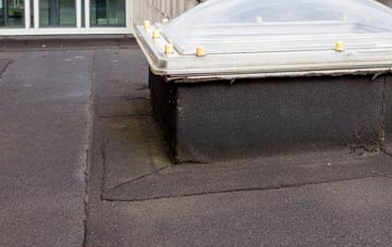 disadvantages of Challister flat roofs